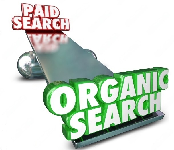 organic paid search